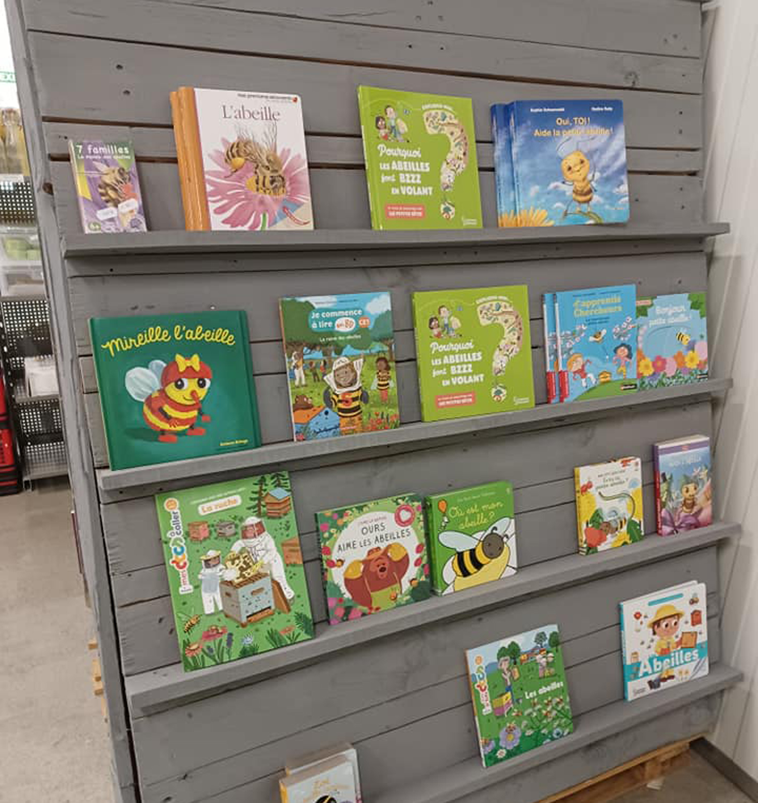 La-Butinerie-Livres-Jeux-Boutique